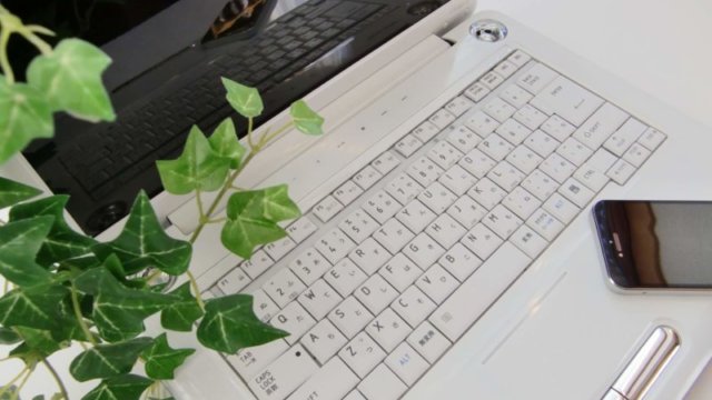 WEB集客についてコンサルタントが注目するポイントとは？