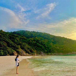 形井なみ